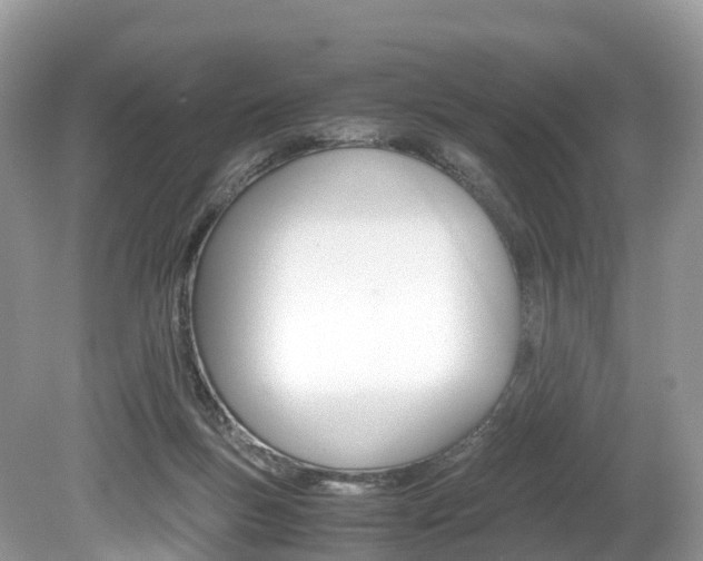 X0000080190167200612081209