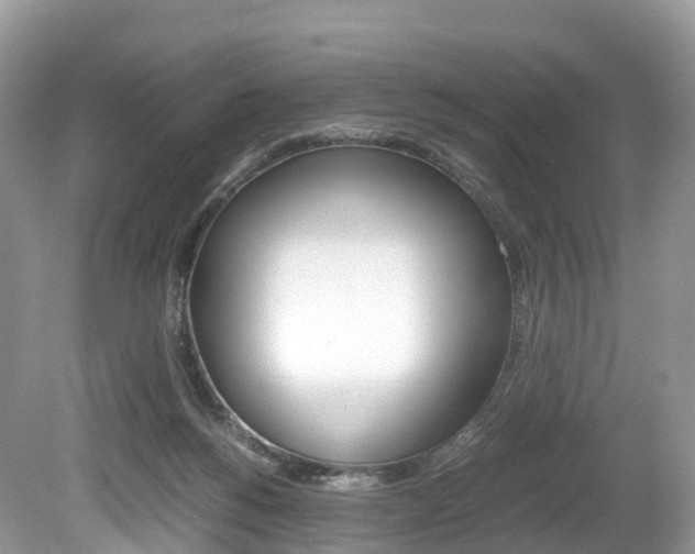 X0000080190168200612081209