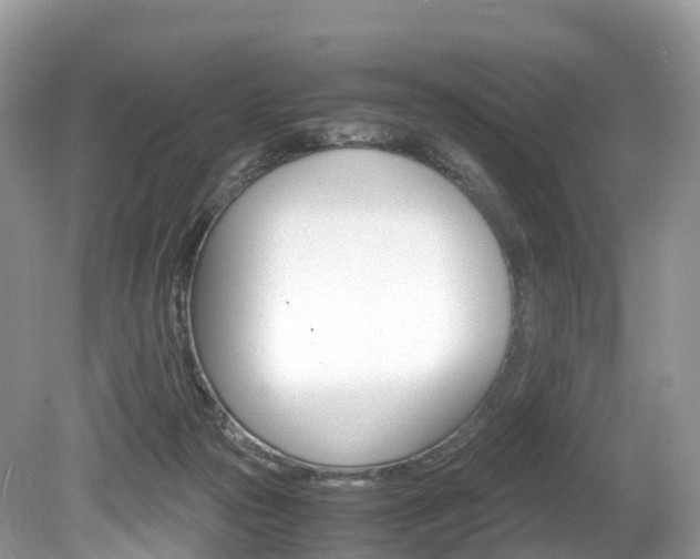 X0000080190169200612081209