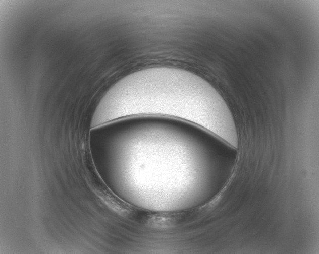 X0000080190174200612081209