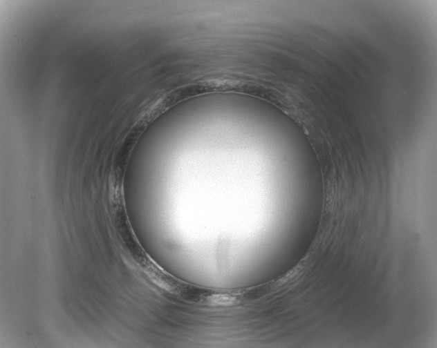 X0000080190176200612081209