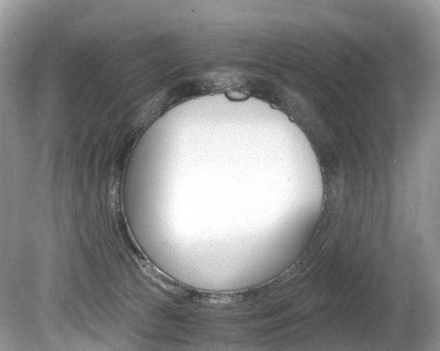X0000080190177200612081209