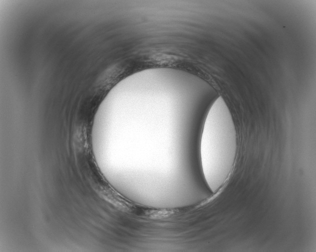 X0000080190182200612081209