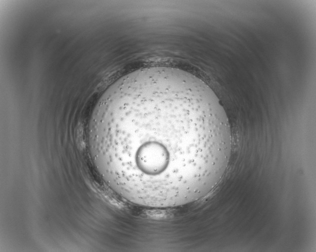 X0000080190187200612081209