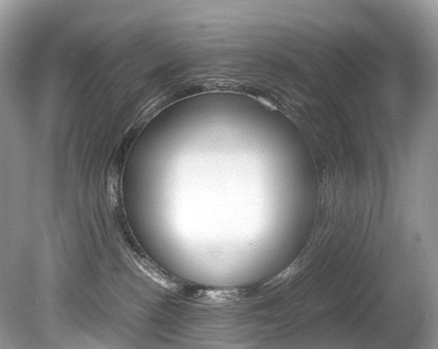 X0000080190188200612081209