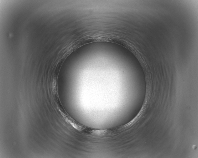 X0000080190192200612081210