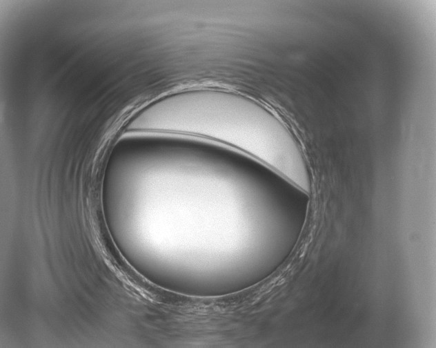 X0000080190193200612081209
