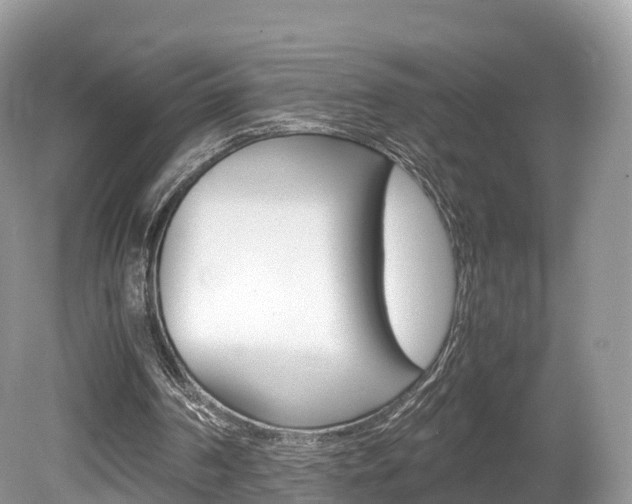 X0000080190194200612081209