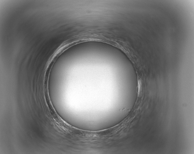 X0000080190195200612081209