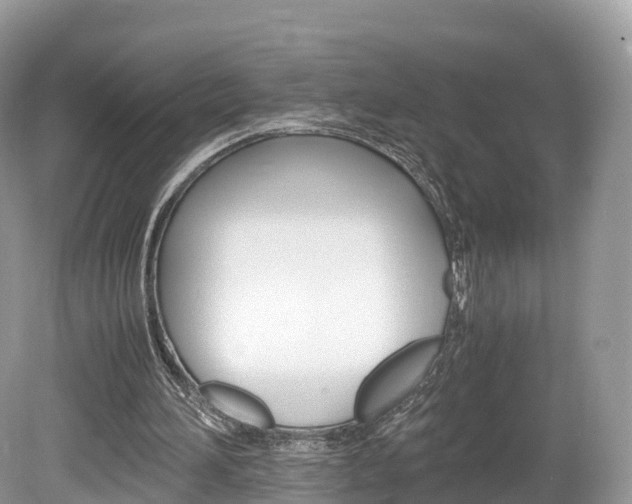 X0000080190196200612081209