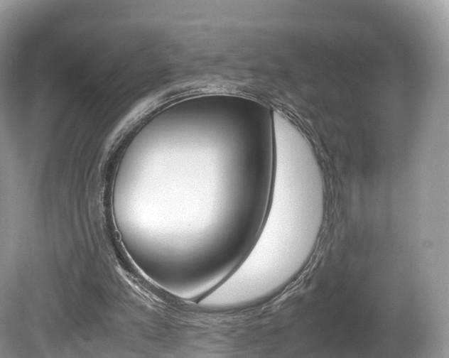 X0000080190197200612081209