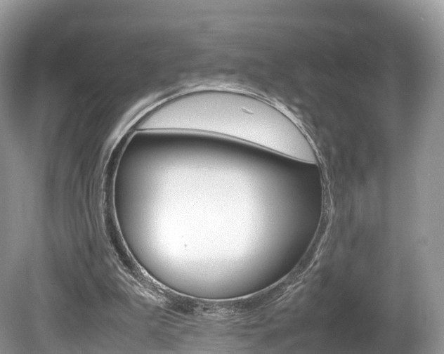 X0000080190199200612081209