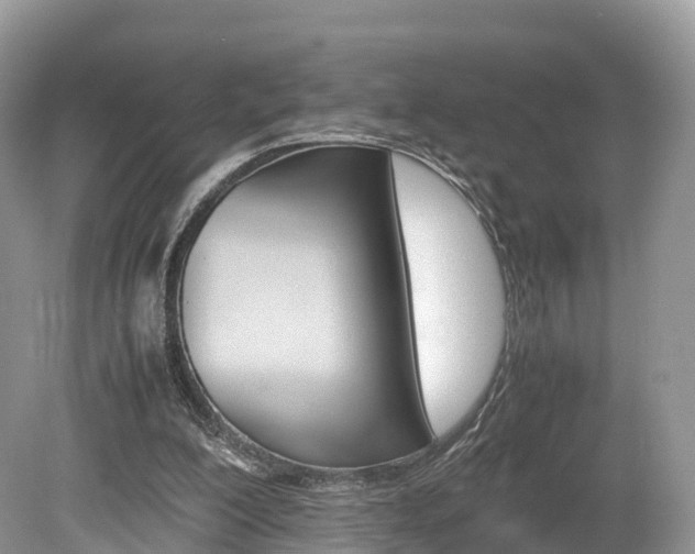 X0000080190200200612081209