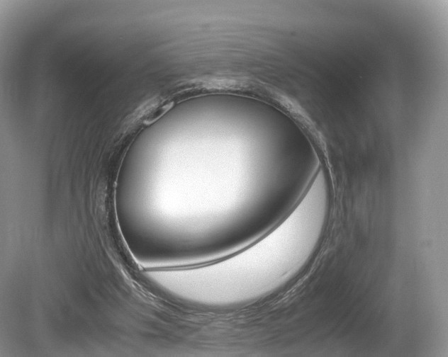 X0000080190201200612081209