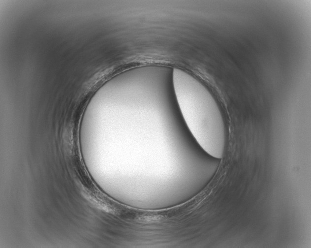 X0000080190202200612081209