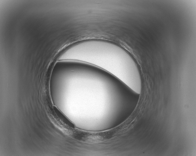 X0000080190203200612081209