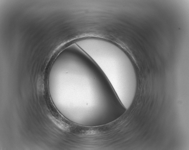 X0000080190204200612081209