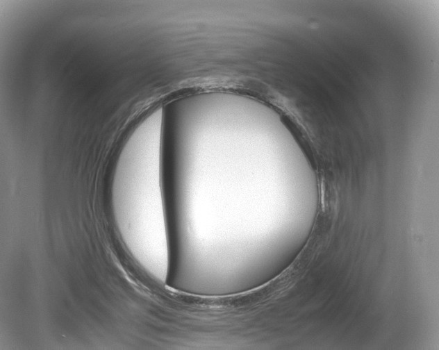 X0000080190205200612081208