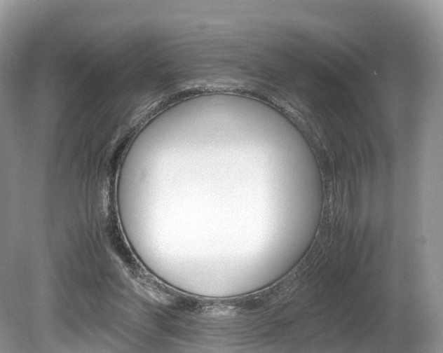 X0000080190206200612081208