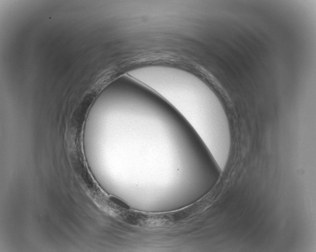X0000080190209200612081208