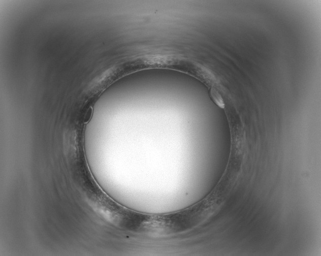 X0000080190211200612081208