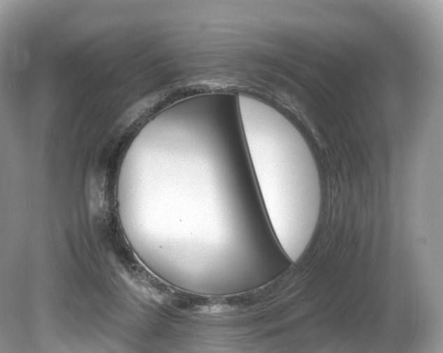 X0000080190212200612081208