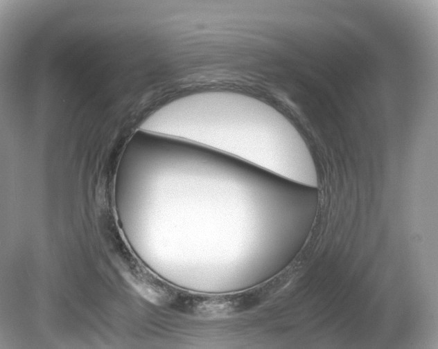 X0000080190213200612081208
