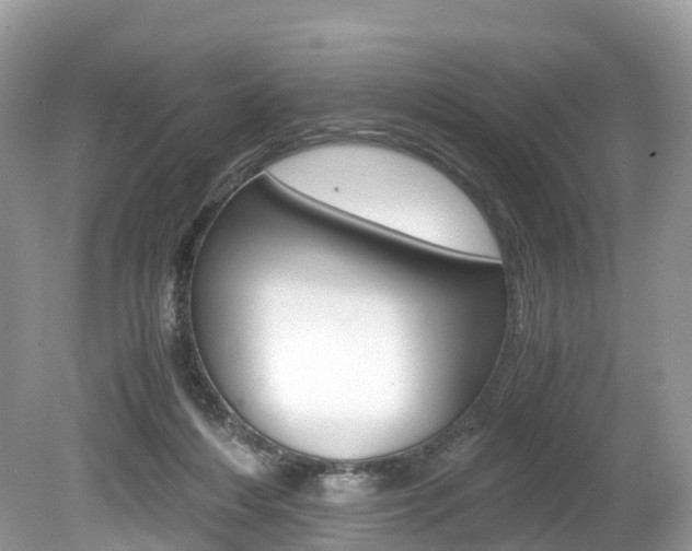 X0000080190216200612081208