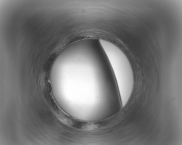 X0000080190217200612081208