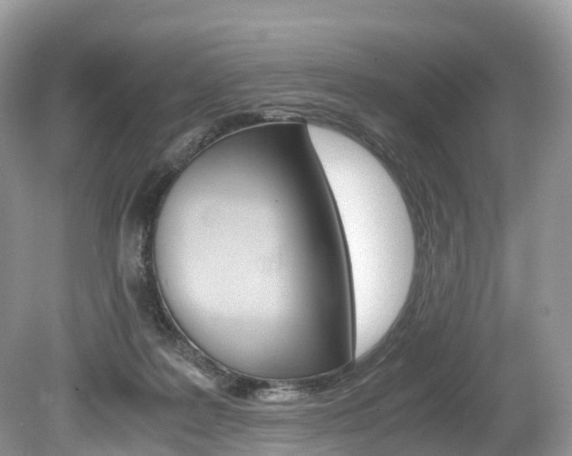 X0000080190219200612081208