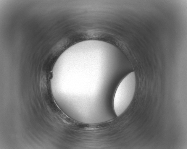 X0000080190220200612081208