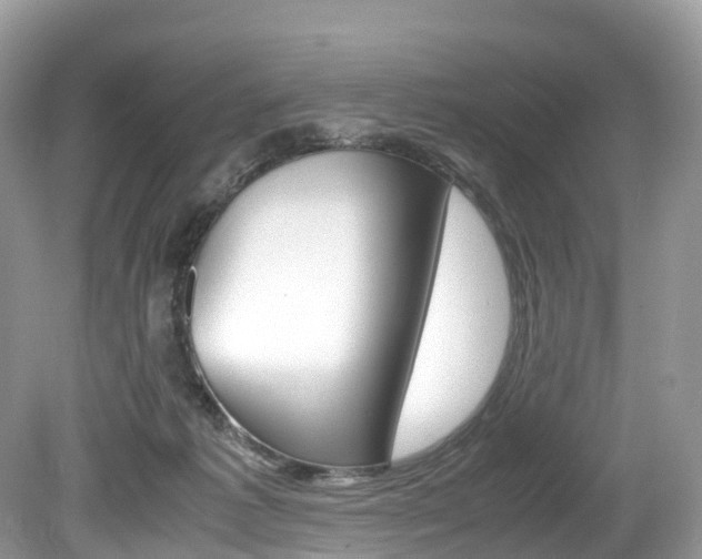 X0000080190221200612081208