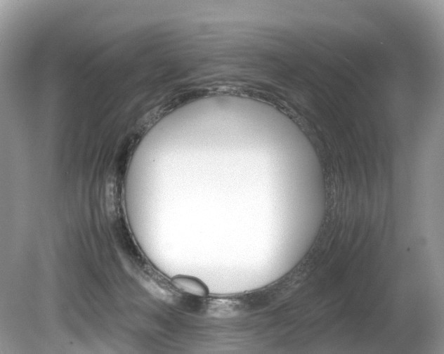 X0000080190222200612081208