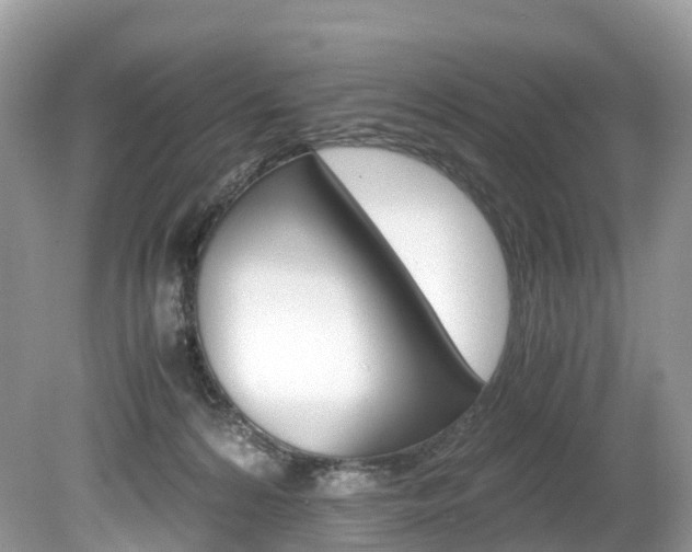 X0000080190224200612081208