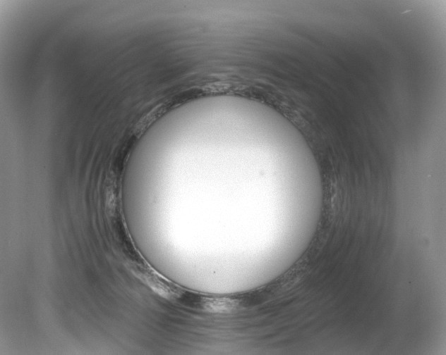 X0000080190226200612081208