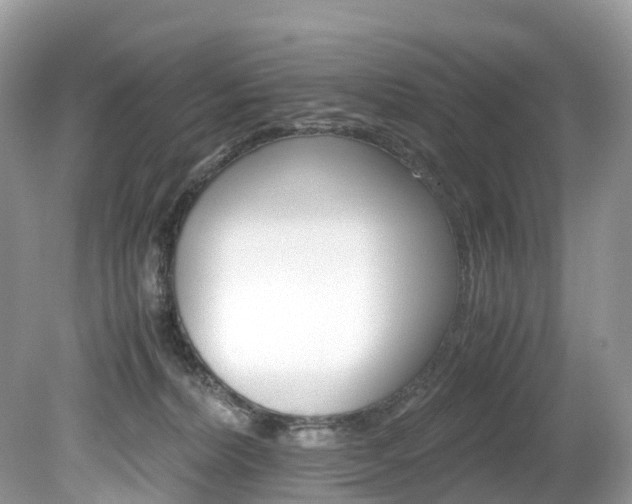 X0000080190228200612081208