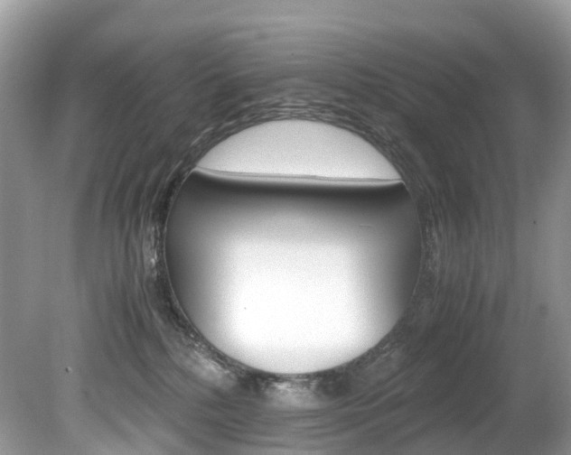 X0000080190232200612081208