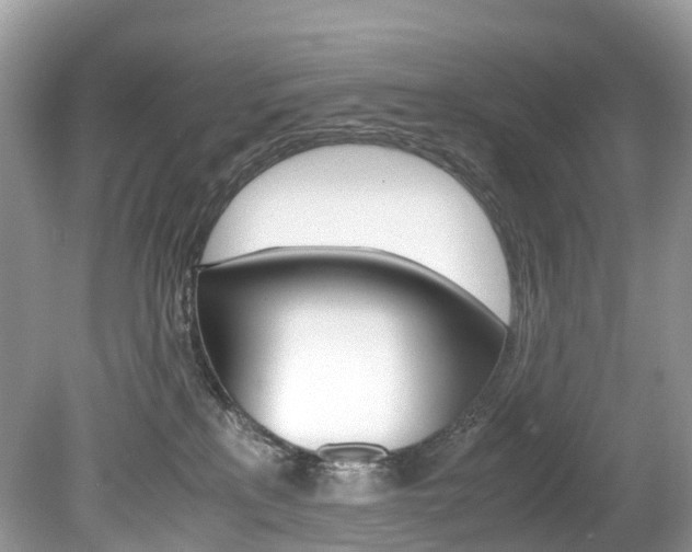 X0000080190233200612081208