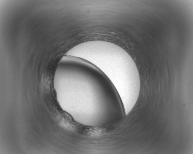 X0000080190235200612081208