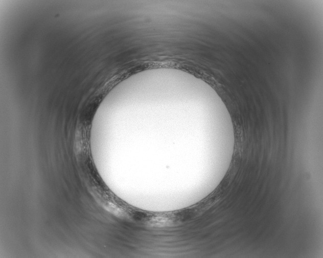 X0000080190236200612081208