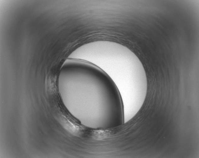 X0000080190239200612081208