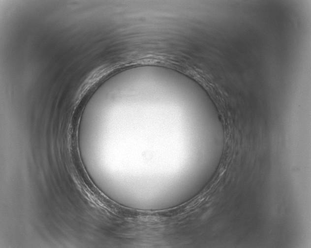 X0000080190242200612081207