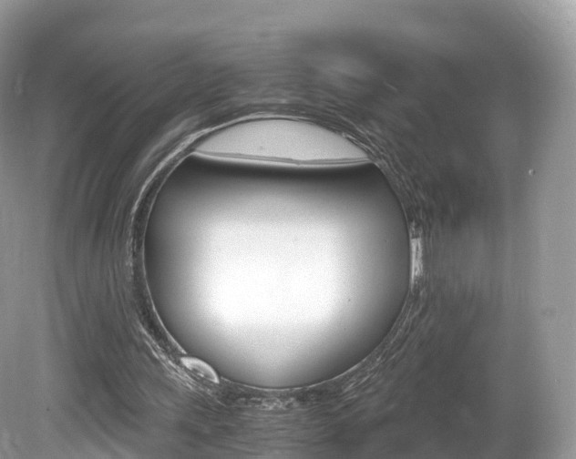 X0000080190243200612081207