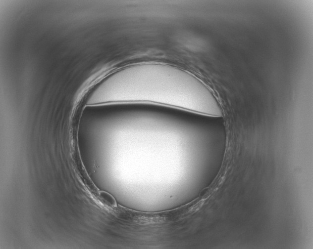 X0000080190245200612081207