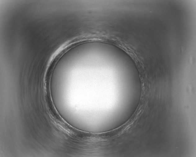 X0000080190246200612081207