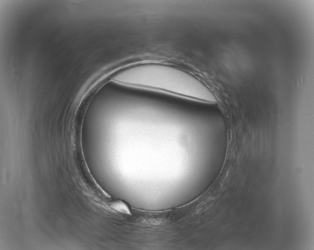 X0000080190247200612081207