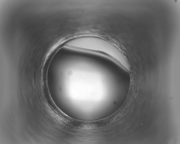 X0000080190248200612081207