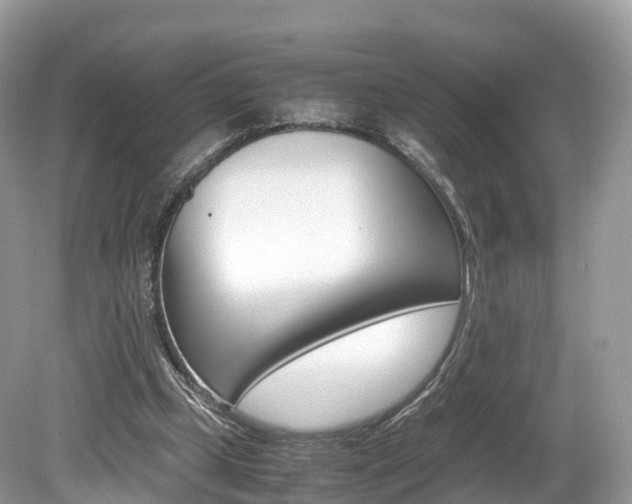 X0000080190249200612081207