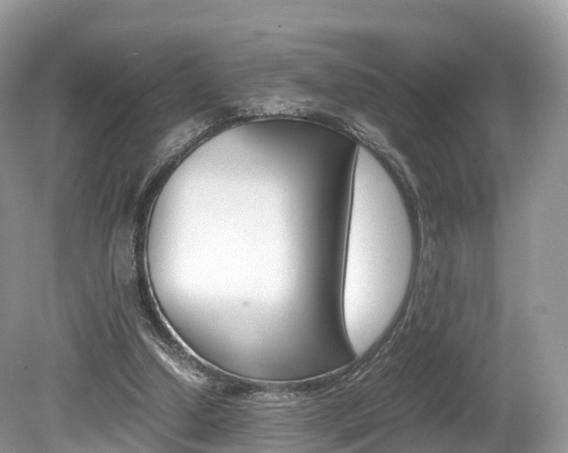 X0000080190250200612081207