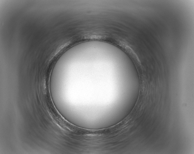 X0000080190251200612081207